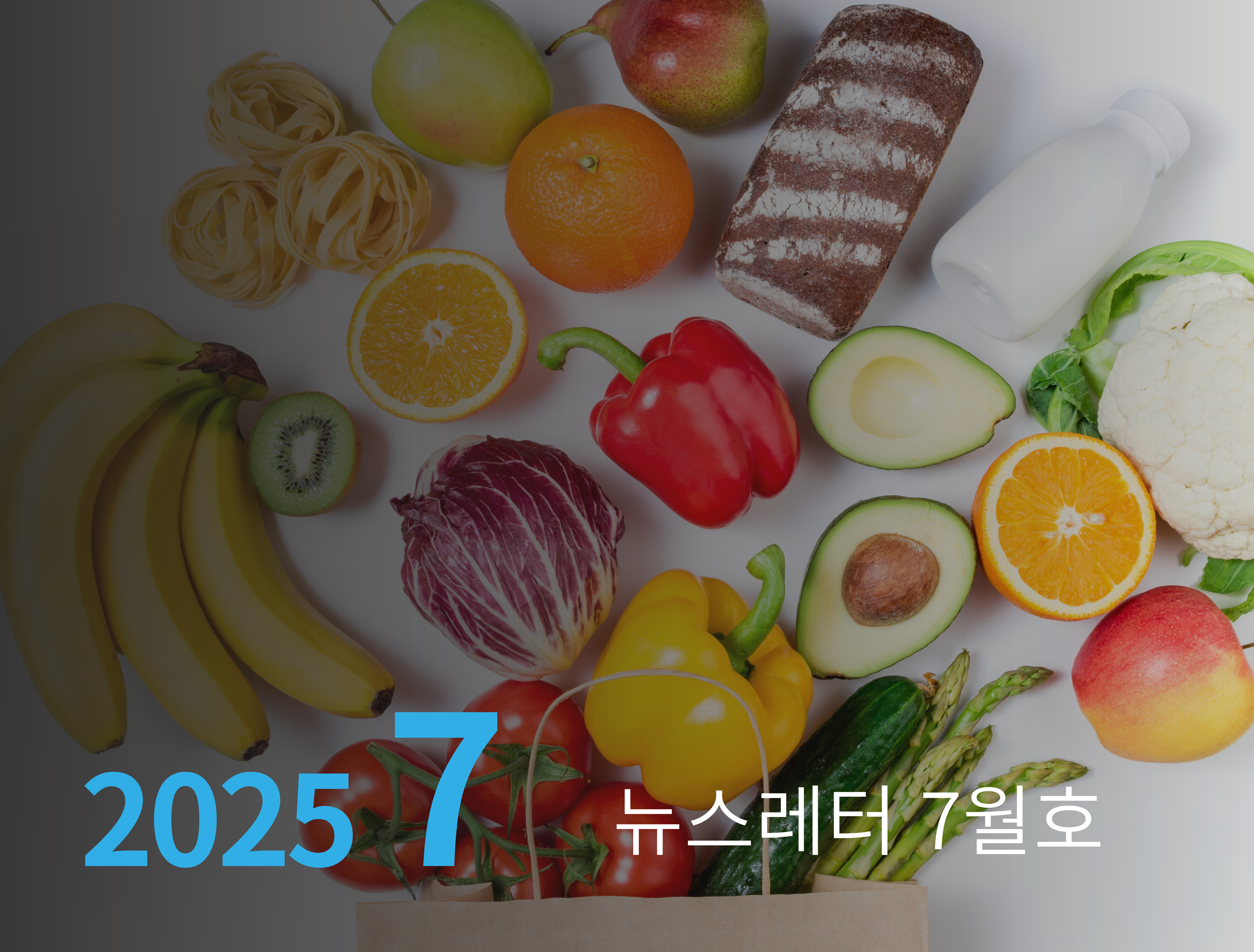 뉴스레터