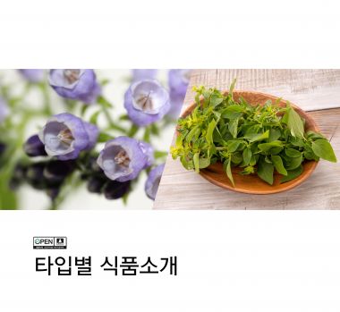 M타입체험후기
