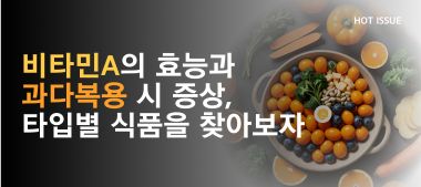 이달의핫이슈