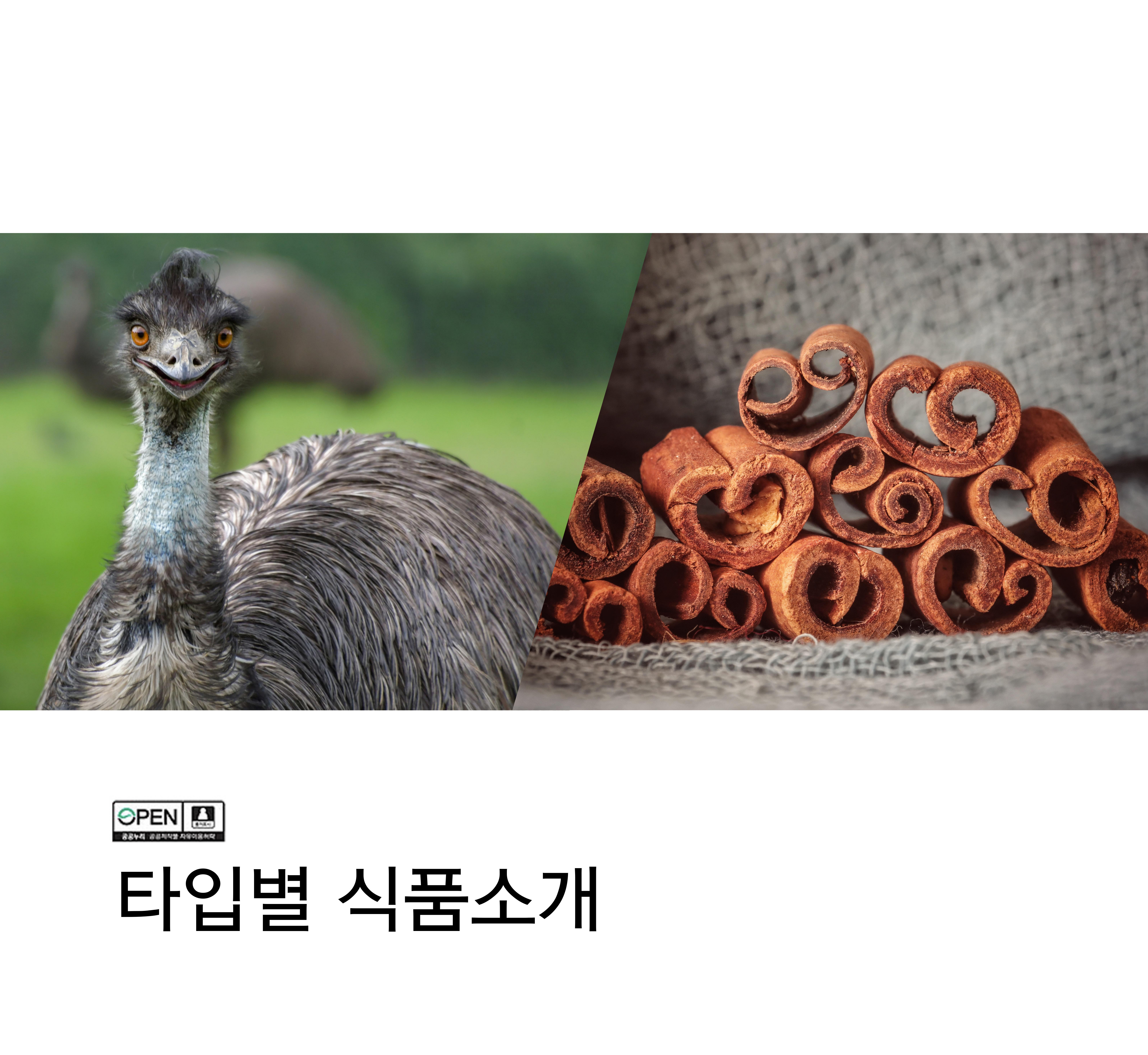 타입별식품소개